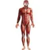Anatomy Man Costume 2 Anatomy Man Costume -Joker Scostumemega Store anatomy man costume 645721