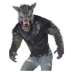 California Costumes Full Moon Fury / Adult -Joker Scostumemega Store full moon fury adult 608636