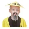 Grey Oriental Beard And Moustache Small -Joker Scostumemega Store grey oriental beard and moustache small 717299