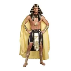 Dreamgirls Costumes King Of Egypt Mens Costume -Joker Scostumemega Store king of egypt mens costume 610997