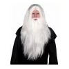 AMSCAN Sorcerer Wig And Beard Set White -Joker Scostumemega Store sorcerer wig and beard set white 272261