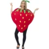 Strawberry Costume -Joker Scostumemega Store strawberry costume 563086
