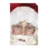 Wire Framed Santa Specs -Joker Scostumemega Store wire framed santa specs 188922